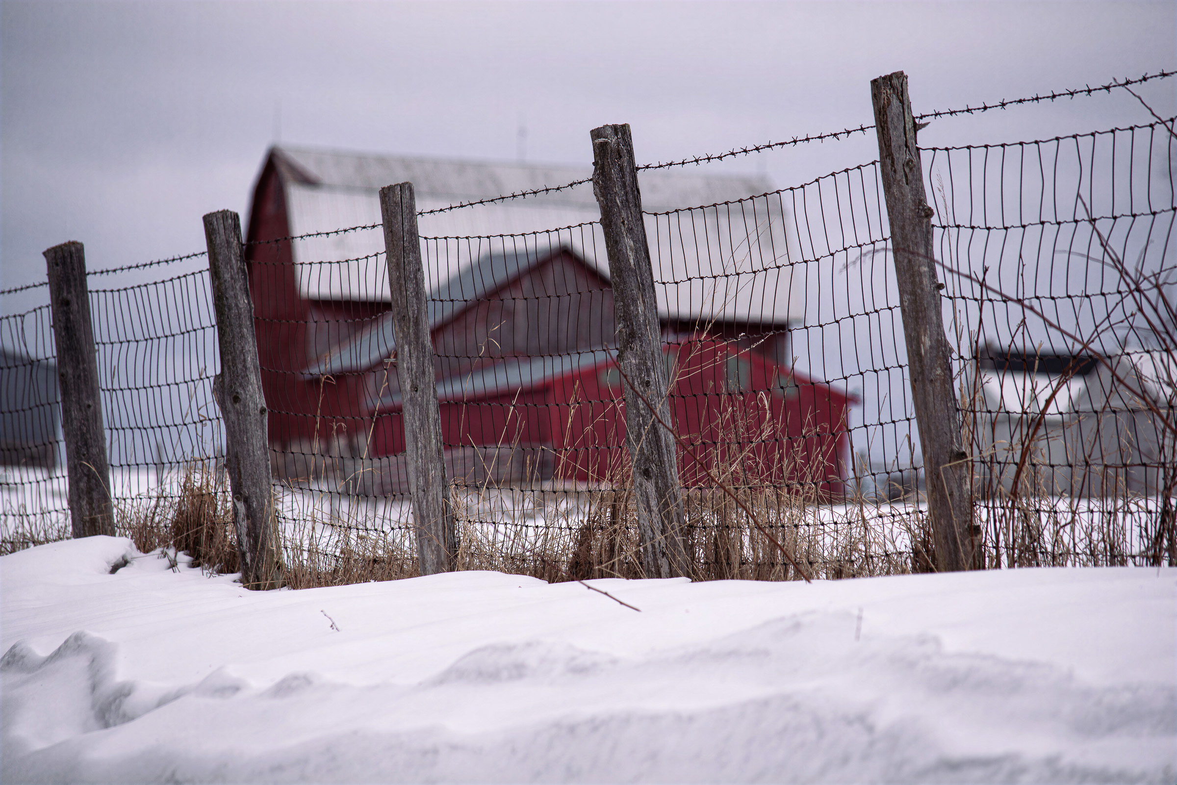 Northern Michigan farm country during winter