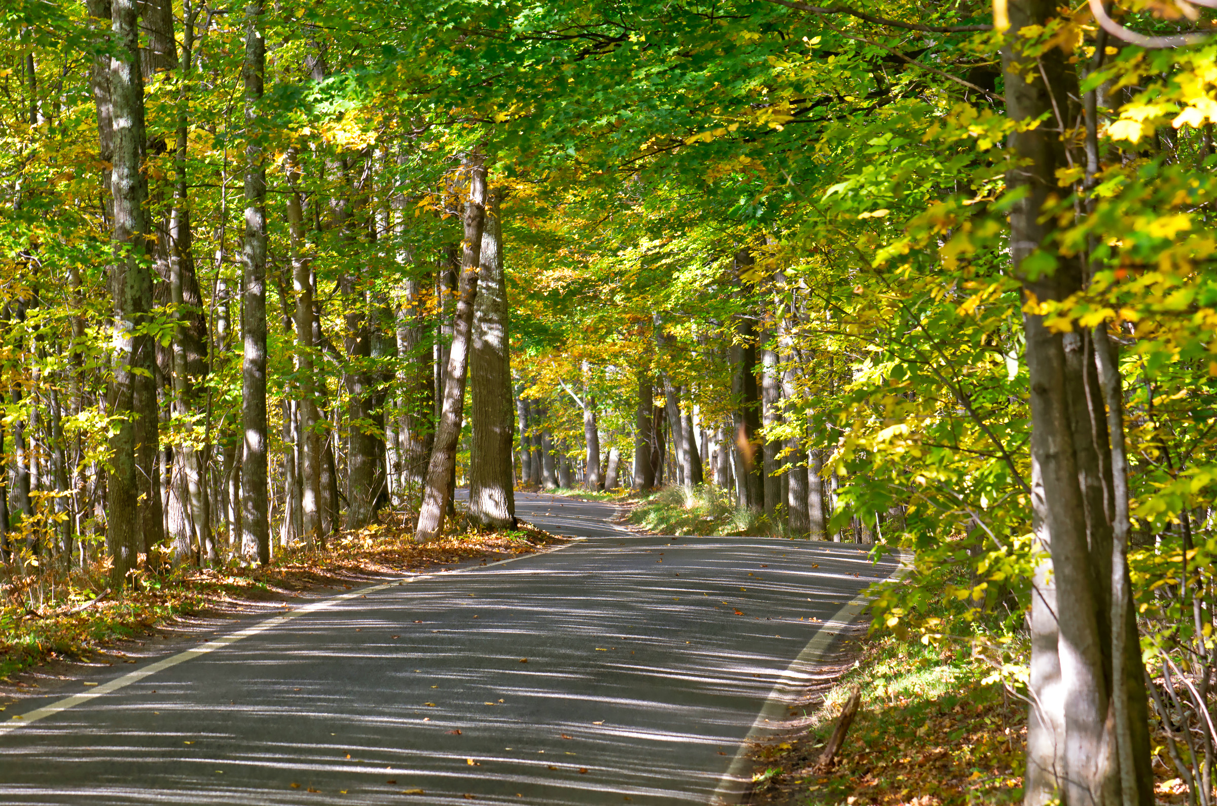 Autumn along the Tunnel of Trees in Northern Michigan